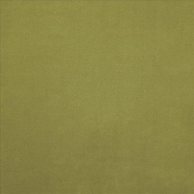 KASMIR FABRICS-KNOCKOUT - GECKO