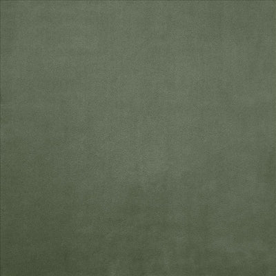 KASMIR FABRICS-KNOCKOUT - PINE