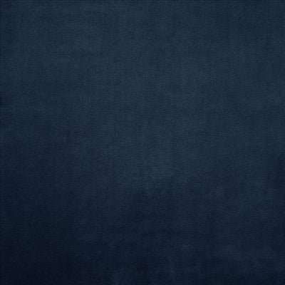 KASMIR FABRICS-KNOCKOUT - ROYAL