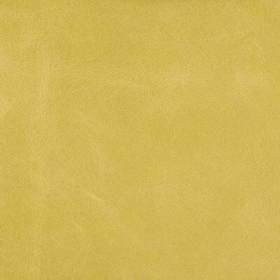 KRAVET COUTURE, a selection of fabrics such as velvet, damask, cotton, silk, linen and sheers.