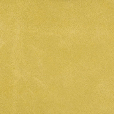 KRAVET COUTURE-L-HAUTE-CITRON