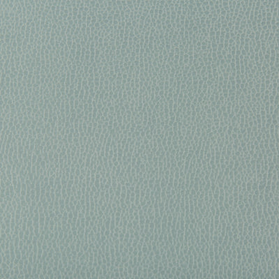 KRAVET FABRICS - LENOX - MYSTIC