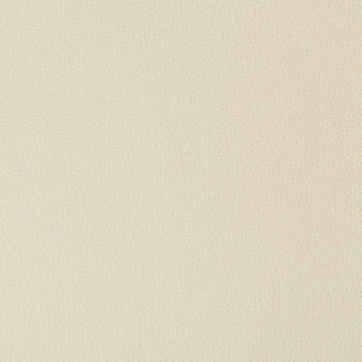 KRAVET FABRICS - LENOX - STONE