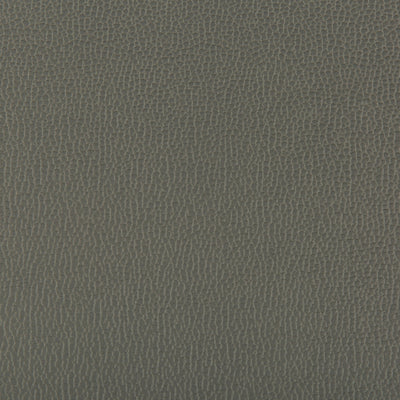KRAVET FABRICS - LENOX - SHADOW