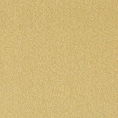 KRAVET FABRICS - LENOX - SESAME