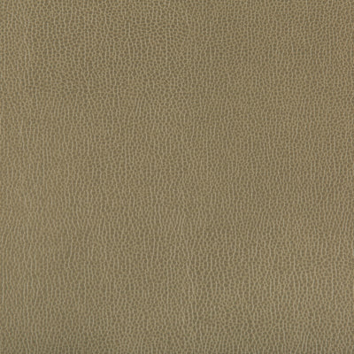 KRAVET FABRICS - LENOX - BAYLEAF