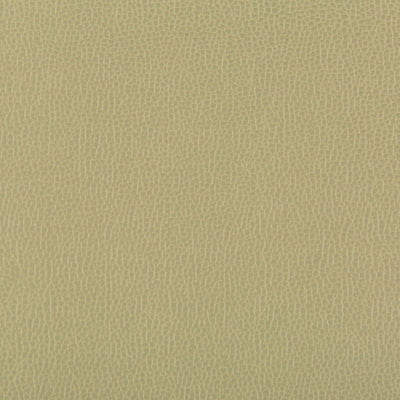 KRAVET FABRICS - LENOX - SAGE