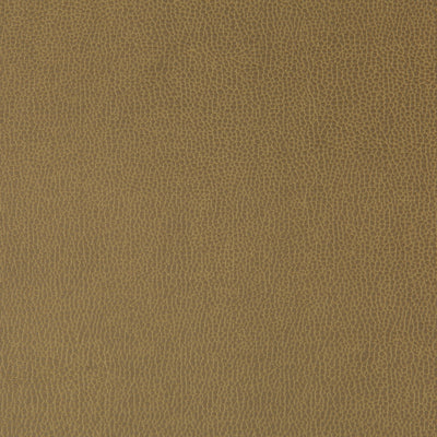KRAVET FABRICS - LENOX - SPARROW