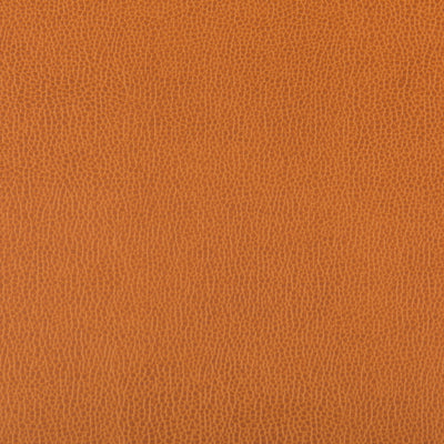 KRAVET FABRICS - LENOX - MARMALADE