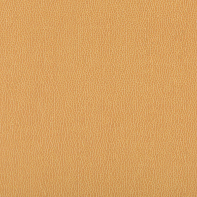 KRAVET FABRICS - LENOX - CAMEL