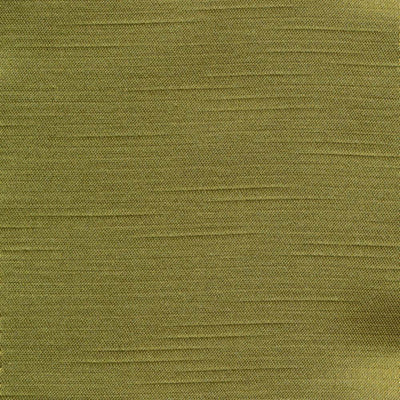 KASMIR FABRICS-LISSON GROVE - KIWI