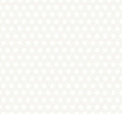 SEABROOK WALLPAPER-CABANA WICKER-GRAY AND EGGSHELL-LN10200