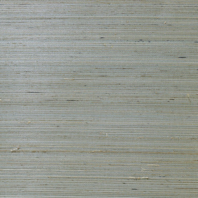 SEABROOK WALLPAPER-ABACA GRASSCLOTH-LAKE FOREST AND SANDY SHORE-LN11822