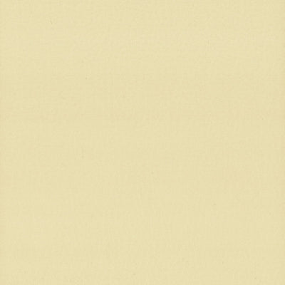 STOUT FABRICS-LODGE 9 CHAMOIS