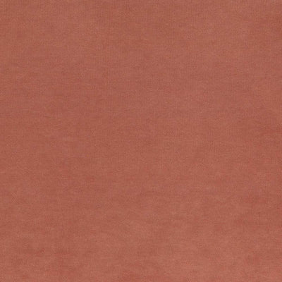 KASMIR FABRICS-MAISON ROYALE - NECTAR