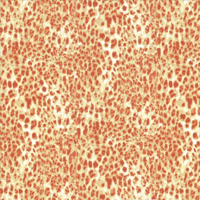 Kasmir Fabrics , a selection of fabrics such as velvet, damask, cotton, silk, linen and sheers.