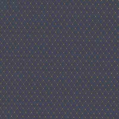 KASMIR FABRICS-MARTINEZ - CHAMBRAY