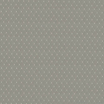 KASMIR FABRICS-MARTINEZ - FEATHER
