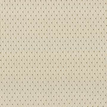 KASMIR FABRICS-MARTINEZ - LINEN