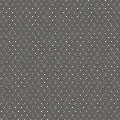 KASMIR FABRICS-MARTINEZ - SLATE