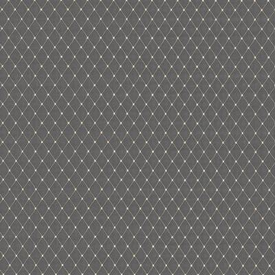 Kasmir Fabrics , a selection of fabrics such as velvet, damask, cotton, silk, linen and sheers.