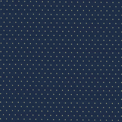 KASMIR FABRICS-MARTINEZ - TWILIGHT