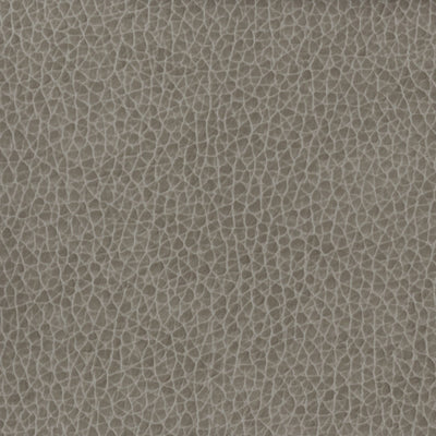 KRAVET BASICS - MATTER-1121
