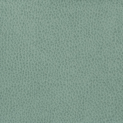 KRAVET BASICS - MATTER-15