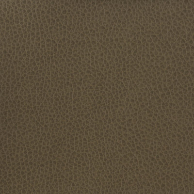 KRAVET BASICS - MATTER-21