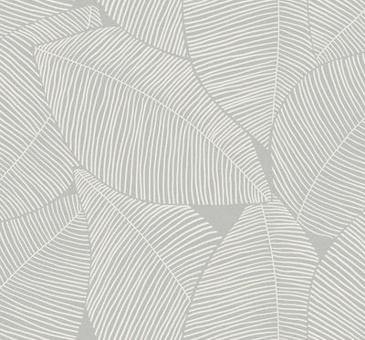SEABROOK WALLPAPER-SUMMER MAGNOLIA-DAYDREAM GRAY-MB31305