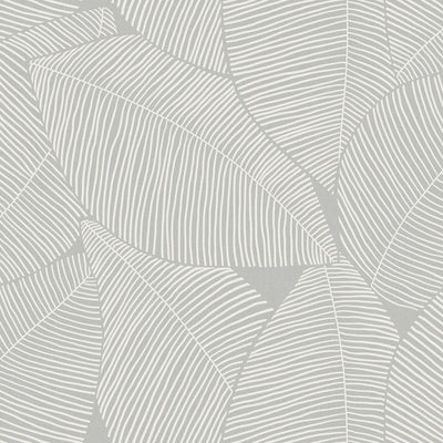 SEABROOK WALLPAPER-SUMMER MAGNOLIA-DAYDREAM GRAY-MB31305