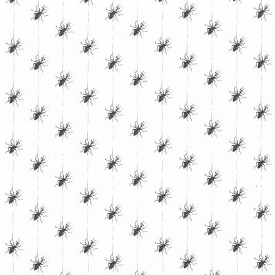 KASMIR FABRICS-MISS SPIDER - SPIDER WEB