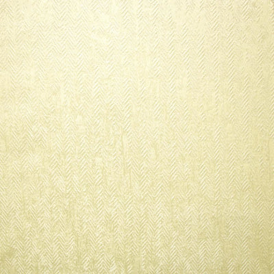 KASMIR FABRICS-MODISH - CHAMPAGNE