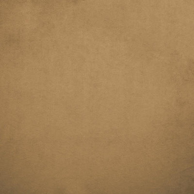 KASMIR FABRICS-NAMPARA - CAPPUCCINO