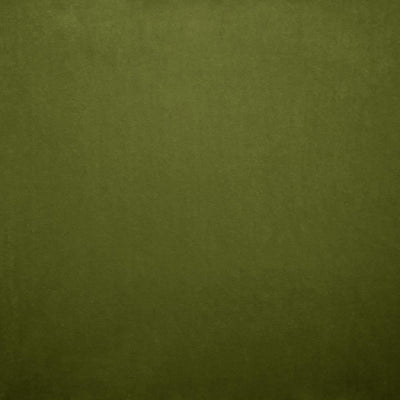 KASMIR FABRICS-NAMPARA - FERN