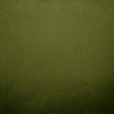 KASMIR FABRICS-NAMPARA - GREEN