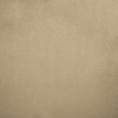 KASMIR FABRICS-NAMPARA - NICKEL