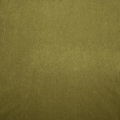 KASMIR FABRICS-NAMPARA - OLIVE