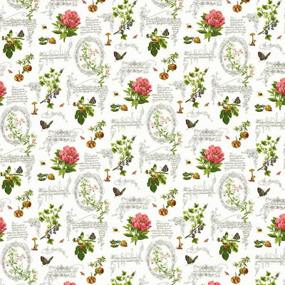 KASMIR FABRICS-NATURE WALK - LIMESTONE
