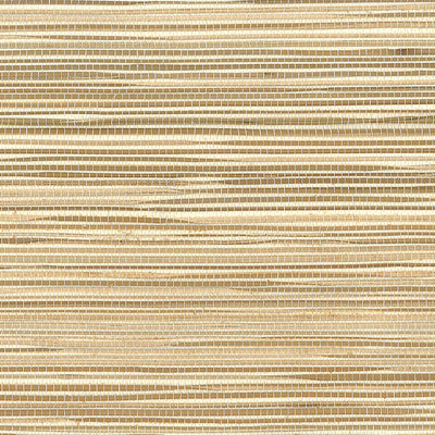 SEABROOK WALLPAPER-BOODLE-BROWN-NR127X