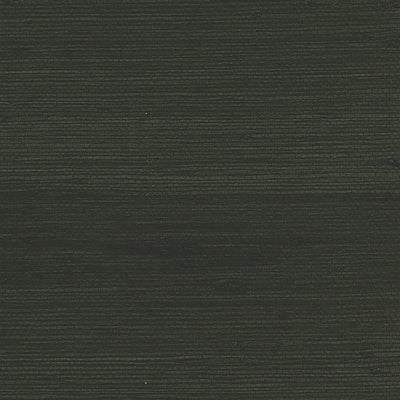 SEABROOK WALLPAPER-JUTE-BLACK-NR146X