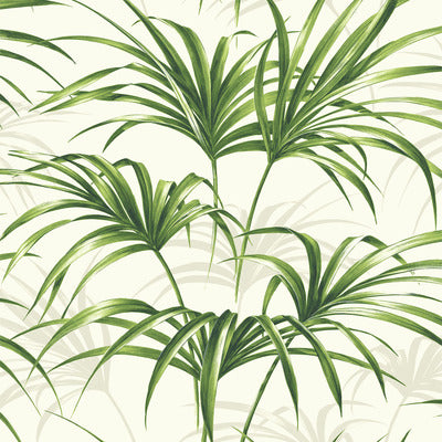 SEABROOK WALLPAPER-TROPICAL PALM LEAF-GREEN AND OFF-WHITE-NW32504