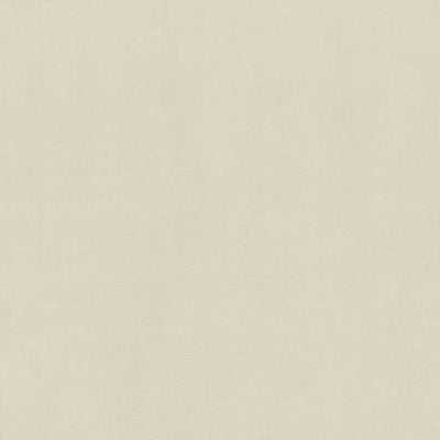 KASMIR FABRICS-ODIN - ALUMINUM