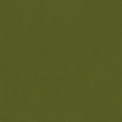 KASMIR FABRICS-ODIN - AVOCADO