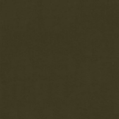 KASMIR FABRICS-ODIN - IVY