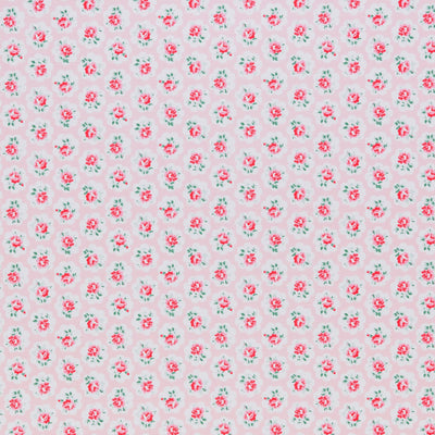 STOUT FABRICS-OMALLEY 1 POWDER