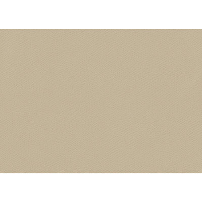 KRAVET FABRICS - OPHIDIAN - OATMEAL