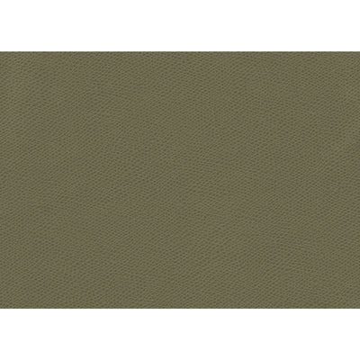 KRAVET FABRICS - OPHIDIAN - SAGE