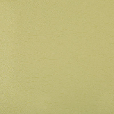 KRAVET FABRICS - OPTIMA - WASABI