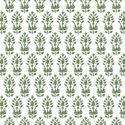 STOUT FABRICS-OSHKOSH 2 BOXWOOD
